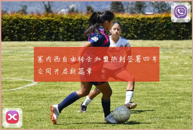 塞内西自由转会加盟热刺签署四年合同开启新篇章